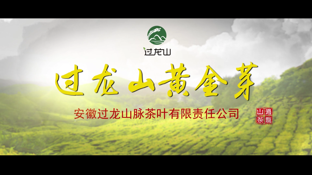 我公司完成过龙山黄金芽茶叶宣传片